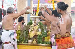 ஸ்ரீ கோவிந்தராஜ சுவாமி கோவிலில் புக்கோற்சவம்