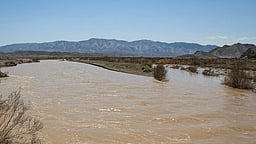 பருவநிலை மாற்றத்தால் பொழியும் கனமழை... சோலை வனமாகும் ஈரான்! அமெரிக்க ரேடார்கள் அழிப்பு காரணமா?