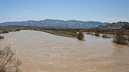 பருவநிலை மாற்றத்தால் பொழியும் கனமழை... சோலை வனமாகும் ஈரான்! அமெரிக்க ரேடார்கள் அழிப்பு காரணமா?