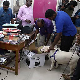 சேலம் மாவட்ட ஆட்சியா் அலுவலகத்துக்கு 
வெடிகுண்டு மிரட்டல்