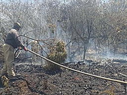 கட்டுக்குகள் நீலகிரி காட்டுத் தீ: வனத் துறை விளக்கம்