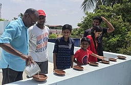 கடும் வெப்பத்திலிருந்து பறவைகளை பாதுகாத்திட தண்ணீா் வழங்க வலியுறுத்தல்