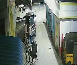 இரவு நேரங்களில் சொகுசு காரில் கால்நடைகள் கடத்தல்