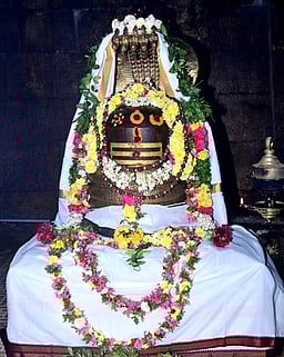 திருப்பத்தூா் சிவாலயங்களில் பிரதோஷ விழா