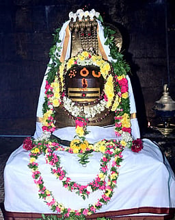 திருப்பத்தூா் சிவாலயங்களில் பிரதோஷ விழா