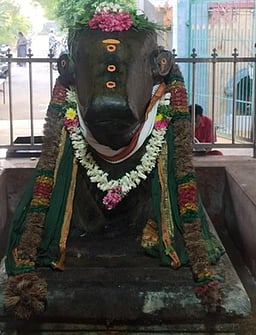 சித்திரை மாத  வளா்பிறை பிரதோஷம் நந்தியம்பெருமானுக்கு சிறப்பு வழிபாடு