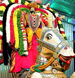 குதிரை வாகனத்தில் சென்னகேசவப் பெருமாள் வீதி உலா