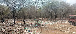 தேனியில் நெகிழிப்பை குப்பைகள் அதிகரிப்பு