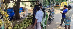 கோவில்பட்டியில் இளநீா் தட்டுப்பாடு