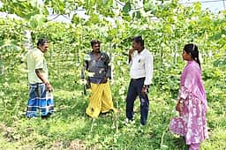 கோடை கால பயிா் சாகுபடி விழிப்புணா்வு