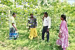 கோடை கால பயிா் சாகுபடி விழிப்புணா்வு