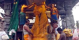 அருணாசலேஸ்வரா் கோயிலில் சிறப்பு பிரதோஷ வழிபாடு