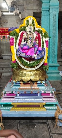 தூத்துக்குடி சிவன் கோயில் சித்திரைத் திருவிழா இன்று தேரோட்டம்