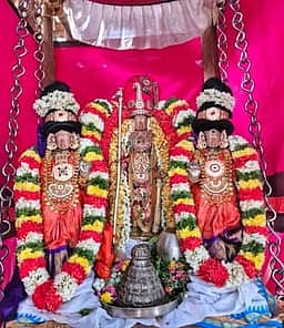 ஸ்ரீமுஷ்ணம் பூவராகசுவாமி கோயில் சித்திரை திருவிழா தேரோட்டம்!