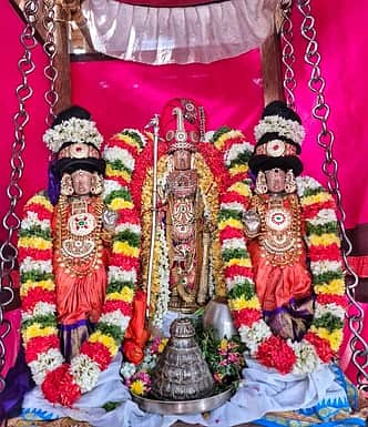 ஸ்ரீமுஷ்ணம் பூவராகசுவாமி கோயில் சித்திரை திருவிழா தேரோட்டம்!