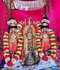 ஸ்ரீமுஷ்ணம் பூவராகசுவாமி கோயில் சித்திரை திருவிழா தேரோட்டம்!