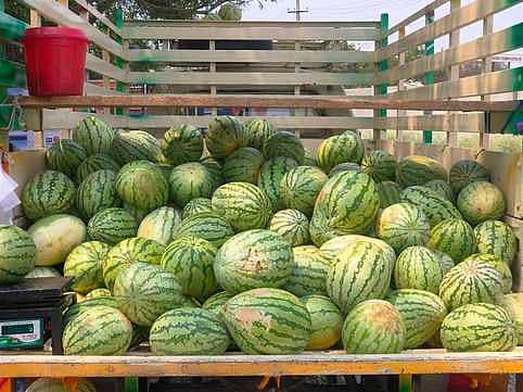 அரியலூரில் கோடை கால பழங்கள் விற்பனை தீவிரம்