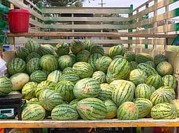 அரியலூரில் கோடை கால பழங்கள் விற்பனை தீவிரம்