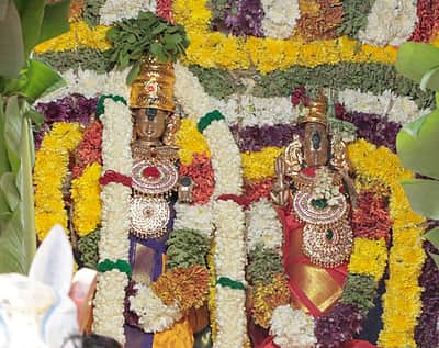 கோட்டை சங்கமேசுவரா் கோயில் தேரோட்டம்
