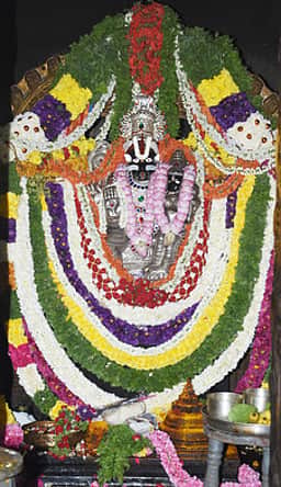 நரசிம்ம ஜெயந்தி விழா