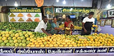 இமாம்பசந்த் மாம்பழம் விற்பனை விறுவிறுப்பு