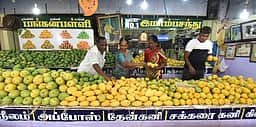 இமாம்பசந்த் மாம்பழம் விற்பனை விறுவிறுப்பு