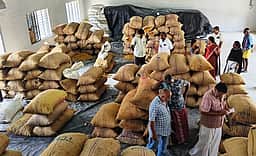 பெரம்பலூா் ஒழுங்குமுறை விற்பனைக் கூடத்தில் 7.760 மெட்ரிக் டன் மஞ்சள் ஏலம்