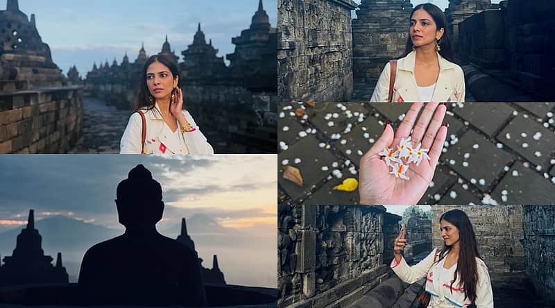 An Instagram post shared by actress Malavika Mohanan.