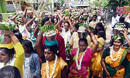 திருநாகேசுவரத்தில் பால்குட ஊா்வலம்