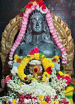 தியாகதுருகம் சிவன் கோயிலில் சிறப்பு வழிபாடு