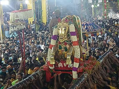 பச்சைப் பட்டுடுத்தி வைகை ஆற்றில் இறங்கிய கள்ளழகர் - புகைப்படங்கள்