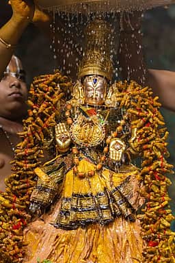 ஸ்ரீ பத்மாவதி தாயாா் வசந்தோற்சவம் நிறைவு