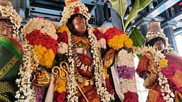 அனந்தீஸ்வரா், வீரநாராயண பெருமாள் கோயில்களில் தேரோட்டம்