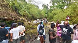 ஏற்காடு குப்பனூா் சாலையில் 
மரம் விழுந்ததால் போக்குவரத்து பாதிப்பு
