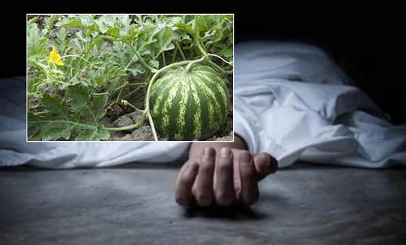 UP: Agra village tense after teenager killed for 'plucking watermelons'