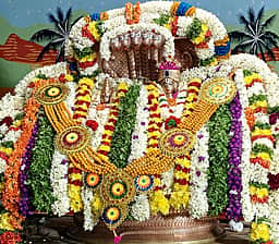 துலுக்கம்பட்டி பாம்பாலம்மன் 
கோயில் ரதோற்ஸவ திருவிழா