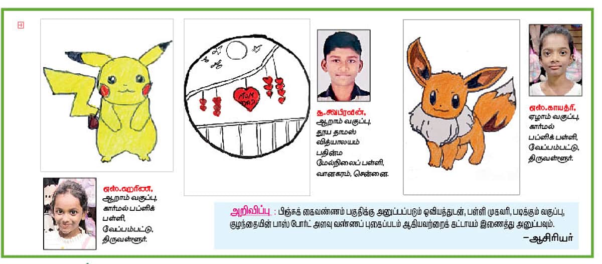 News image