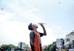 வெப்பத்தைச் சமாளிக்க...
