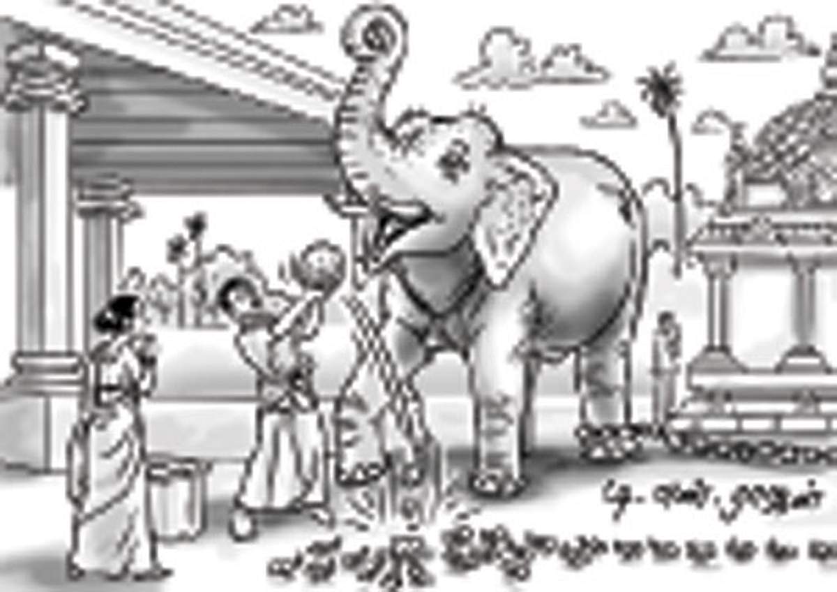 News image