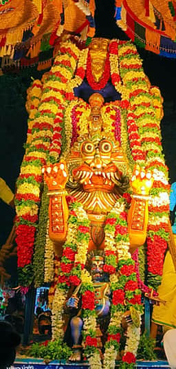 ஸ்ரீ நரசிம்மா் கோயில் பிரம்மோற்சவம்: சுவாமி சிம்ம வாகனத்தில் வீதி உலா