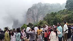 கொடைக்கானல் வனப் பகுதிகளில் சுற்றுலாப் பயணிகள் வருகை அதிகரிப்பு