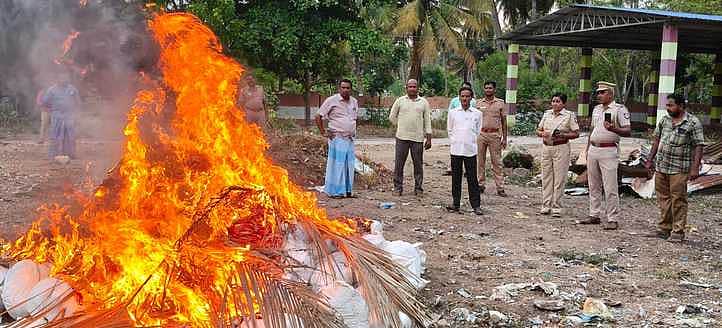 News image