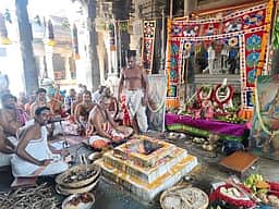 தென்காசி காசிவிஸ்வநாதா் கோயிலில் 1008 சங்காபிஷேகம்