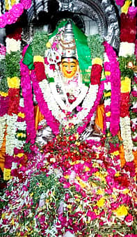 திருப்பத்தூா் பூமாயி அம்மன் கோயிலில் பூச்சொரிதல் விழா