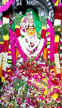 திருப்பத்தூா் பூமாயி அம்மன் கோயிலில் பூச்சொரிதல் விழா