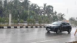 பாவூா்சத்திரம், ஆலங்குளம் பகுதிகளில் மிதமான மழை