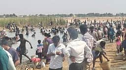 மறவமங்கலம் கண்மாயில் மீன்பிடித் திருவிழா