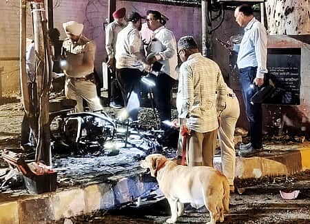 News image