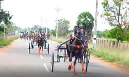 தேவகோட்டை அருகே குதிரை வண்டிப் பந்தயம்