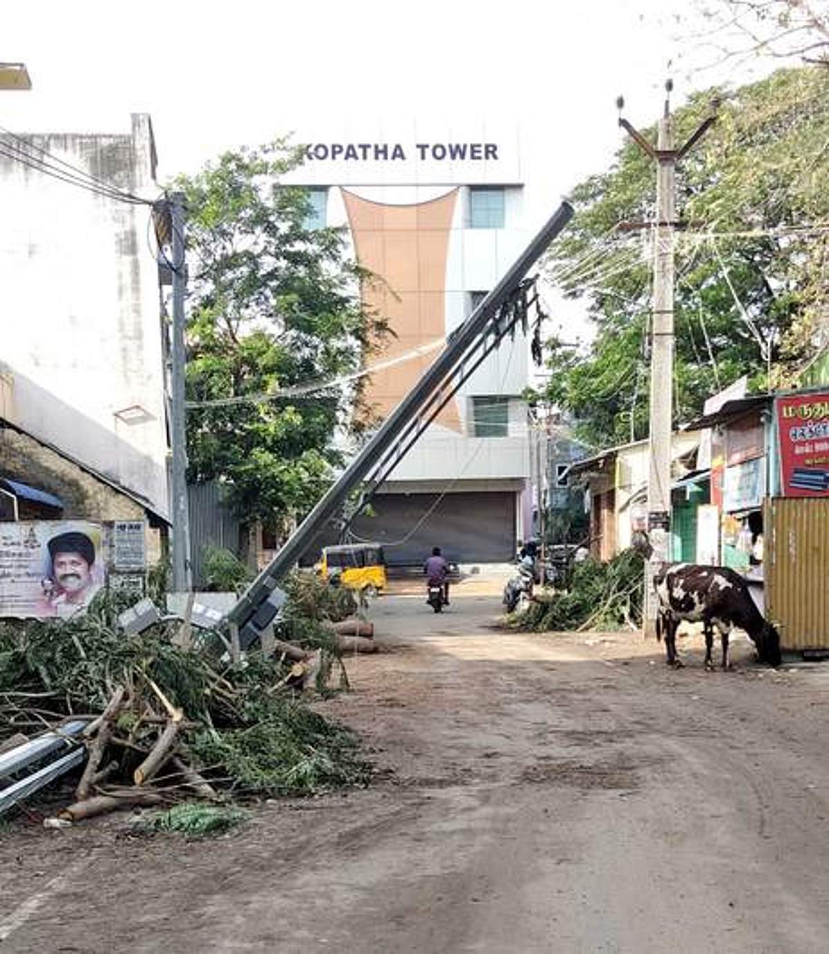 News image